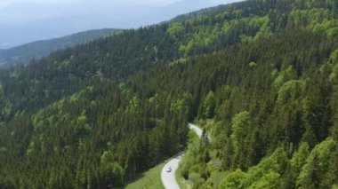 Kope Ski Resort Slovenya yakınlarındaki arabalarla orman dağ yolunun hava görüntüsü, İHA üstgeçişi