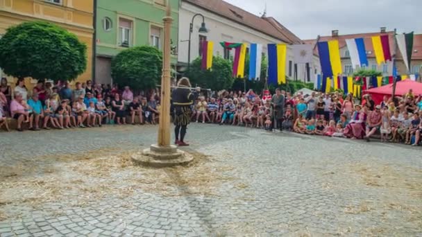 Public Gather Cobblestone Town Square Interprète Médiéval Festival Slovenj Gradec — Video