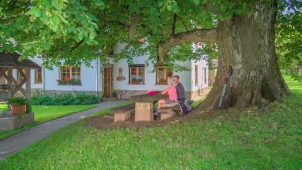 木の下の木製のベンチに座って ウェイターが提供する食べ物を待っている若いカップルの側面図 — ストック動画