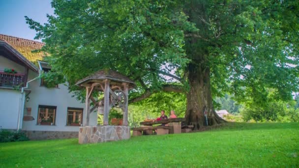 Young Couple Having Refreshment Wooden Bench Table Big Tree Park — Stock Video