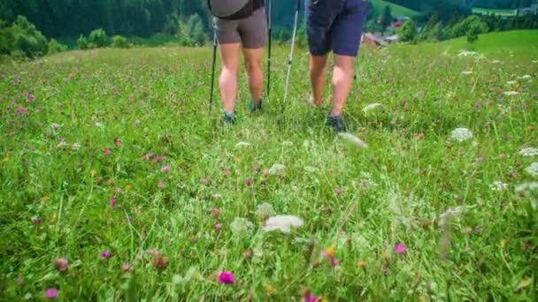 在美丽的野花草地上 一对夫妇从山上往上走到了后面 背景为风景秀丽的绿色山地景观 慢动作 低角度 — 图库视频影像