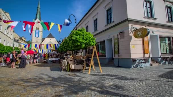 Slow Pan Street Vendors Selling Food Goods Medieval Fair — Stock Video