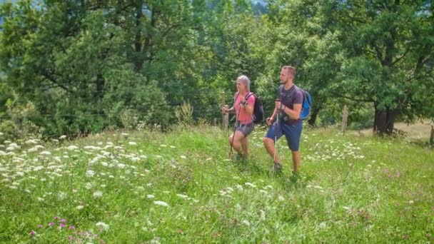 Fille Montre Doigt Cheval Qui Paissait Proximité Arrière Plan Prairies — Video