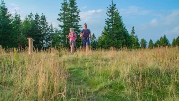 Plan Angle Bas Deux Jeunes Randonneurs Marchant Sur Une Colline — Video