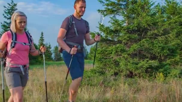 Strzał Zwolnionym Tempie Dwóch Pasujących Wędrowców Kijami Trekkingowymi Spacerujących Wśród — Wideo stockowe