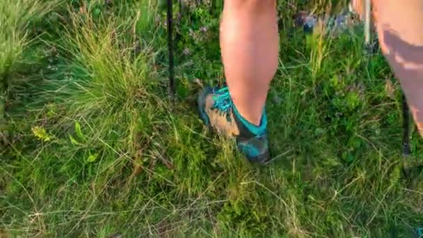 Zblízka Záběr Nohy Dvou Turistů Kráčejících Trávě Trekkingovými Tyčemi — Stock video