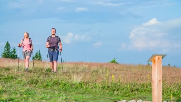 Twee Wandelaars Bereiken Top Van Een Heuvel Met Helende Energiepunten — Stockvideo