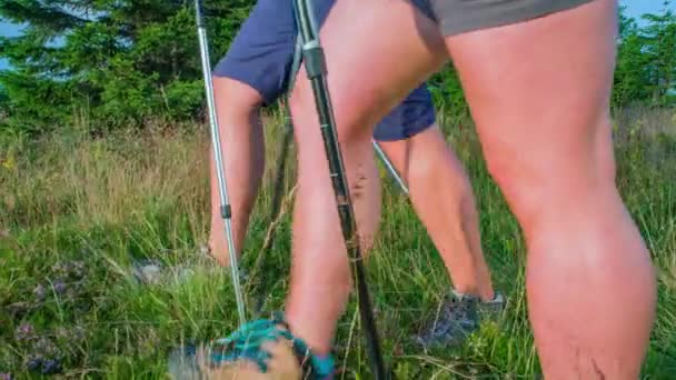 Panning Tiro Das Pernas Fortes Dois Jovens Caminhantes Andando Campo — Vídeo de Stock