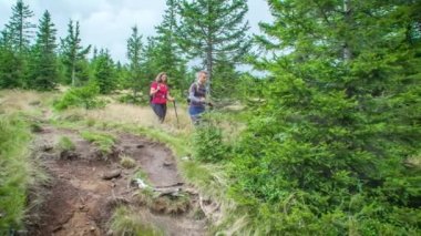 Doğada yürüyen iki yürüyüşçü, Slovenya