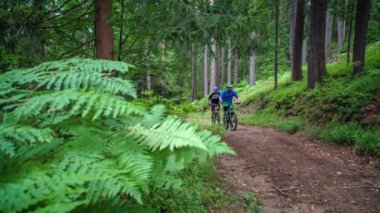 Orman patikası boyunca bisiklet süren bisikletçi, Jamnica, Slovenya