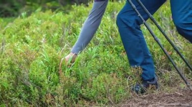 Genç Adam Ağaçlarda Yürüyen Pistte Meyve Toplamak İçin Aşağı Eğiliyor, El Hattında