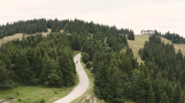 Ağaçlarla çevrili tepelerde bisiklet süren bisikletçiler. Havadan