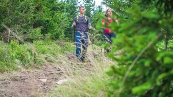 Wandelaars Paar Lopen Langs Vuil Spoor Green Forest Chat Kijk — Stockvideo