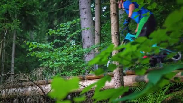 骑车人从森林中央的木桥下经过 — 图库视频影像