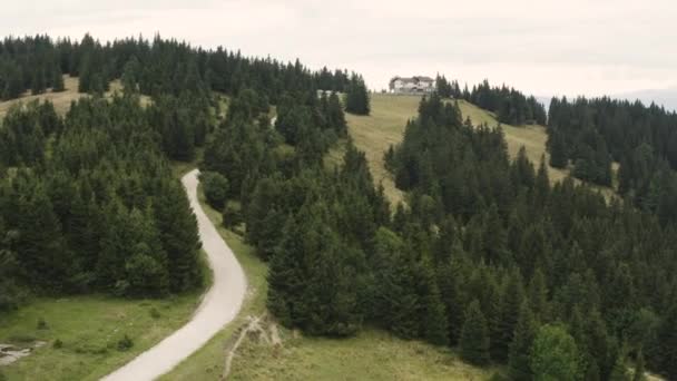 Widok Drogi Idącej Górę Wzgórza Przez Drzewa Conifer Ciężarówka Powietrzna — Wideo stockowe