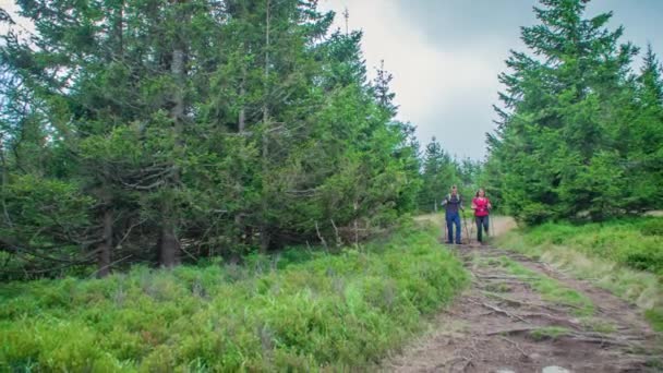 Långsam Rörelse Skott Två Vandrare Går Mot Kameran Stig Skog — Stockvideo