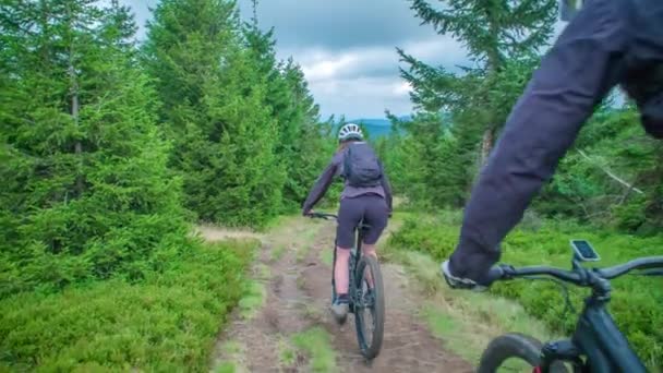 Slow Tracking Follow Shot Two Mountain Bikers Descending Forest Trail — Stock Video