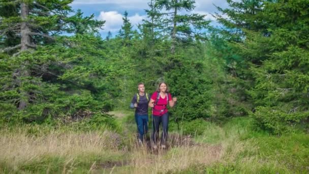 Caminhadas Casal Através Bosques Entrando Para Limpar Usando Pólos Ambulantes — Vídeo de Stock