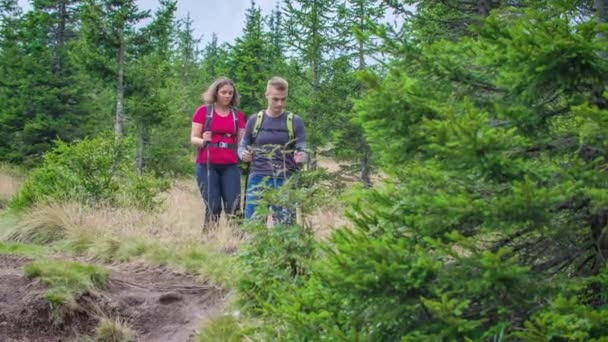 Zwei Personen Auf Einem Berg Mit Wanderausrüstung — Stockvideo