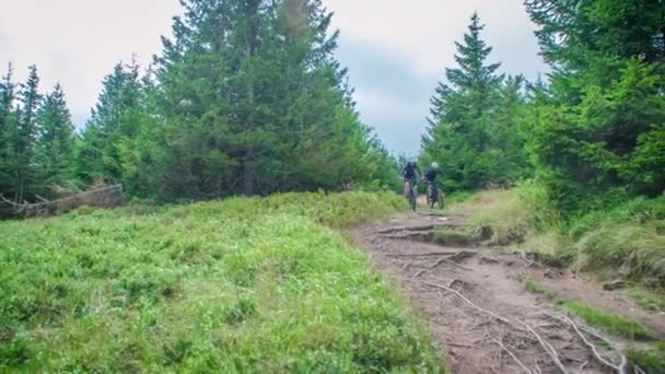 Två Unga Mountainbike Ryttare Cykel Ner Gnarly Smuts Spår Skogen — Stockvideo