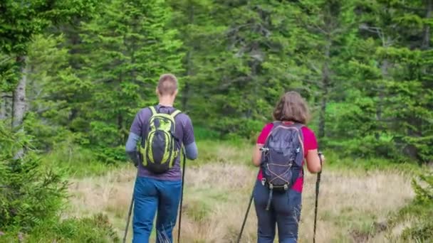Dois Caminhantes Forest Split Optar Por Andar Longe Diferentes Caminhos — Vídeo de Stock
