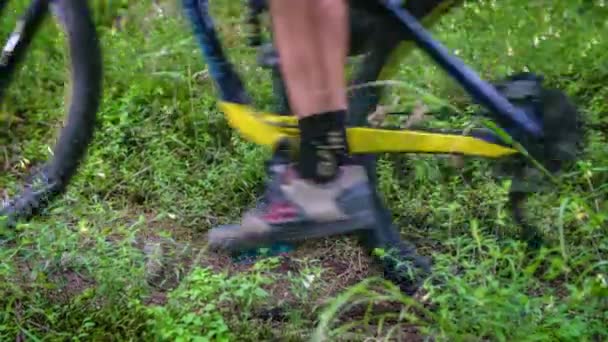 Gros Plan Des Roues Cyclistes Vélo Sur Sentier Sur Herbe — Video