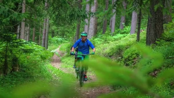 緑のスロベニアの森の真ん中のカメラに向かってマウンテンバイクに乗っている2人のバイカー — ストック動画