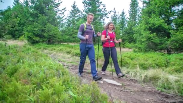 Fröhliches Junges Paar Wandert Den Pfad Hinunter Hält Inne Waldbeeren — Stockvideo