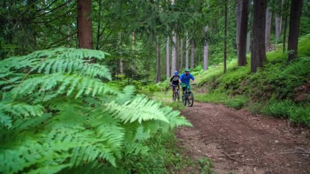 Biker Riding Mountain Bike Forest Trail Jamnica Slovenia — Stock Video