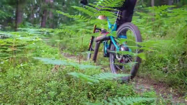 Ein Aktiver Mann Mit Einem Mountainbike Auf Einem Versteckten Pfad — Stockvideo