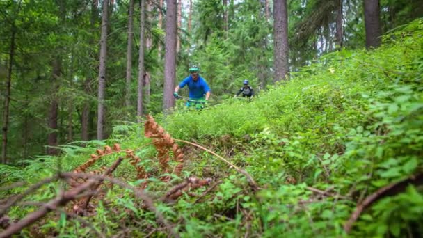 Deux Cyclistes Extrêmes Descendent Leur Vélo Sur Sentier Dans Forêt — Video