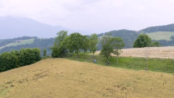 Ciclistas Montanha Dirigindo Deserto Trilha Prestes Descer Eslovênia Prevalje — Vídeo de Stock