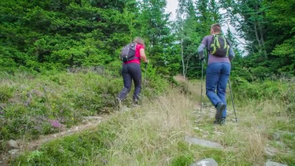 Rallentatore Due Giovani Escursionisti Che Camminano Tra Vegetazione Con Bastoncini — Video Stock