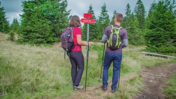 Caminhantes Lendo Sinal Direcional Pastagens Enquanto Caminham Para Área Arborizada — Vídeo de Stock