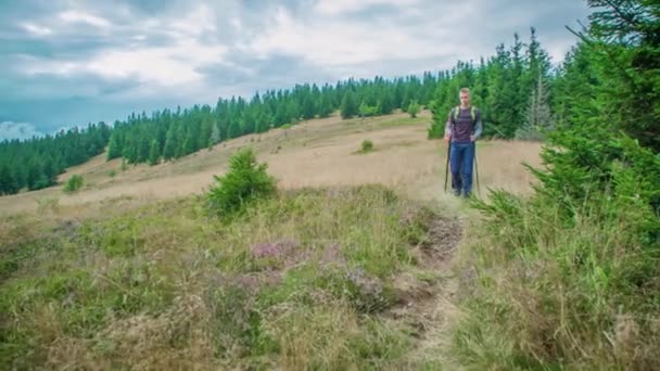 Erkek Kadın Yürüyüşçüler Çam Ormanı Ndaki Toprak Yol Yaklaşıyor — Stok video