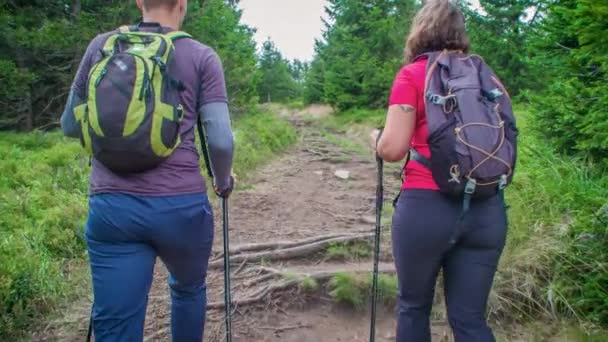 Young Man Female Hiker Walk Muddy Rocky Track Woods — Stock Video