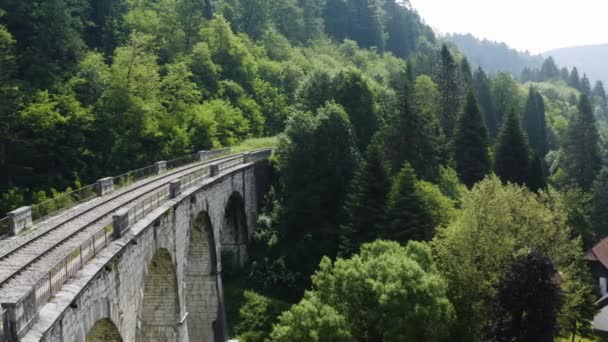 Seitliche Luftaufnahme Der Eisenbahnbrücke Viadukt Ravne Koroskem Slowenien — Stockvideo