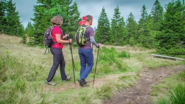 Een Wandelaar Koppel Oriënterend Een Wegwijzer Dan Beginnen Lopen Een — Stockvideo