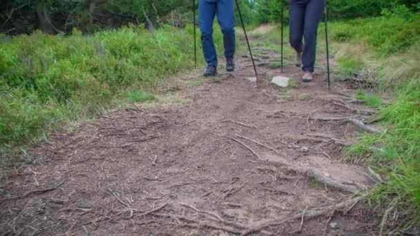 Disparo Dos Excursionistas Que Bajan Por Camino Empinado Bosque Pinos — Vídeos de Stock