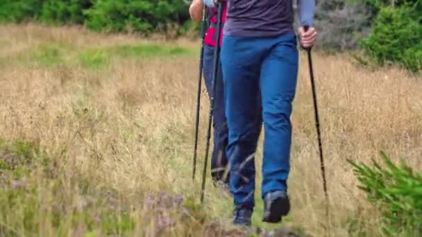 Närbild Man Och Kvinna Ben Trekking Blommig Gräsbevuxen Väg Spårning — Stockvideo