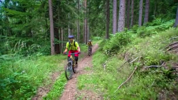 Dolly Couple Bikes Riding Mountain Bikes Camera Peaceful Green Forest — Stock Video