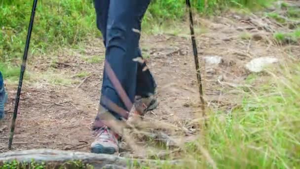 Langsame Bewegung Der Füße Eines Wanderers Beim Gehen Mit Einem — Stockvideo