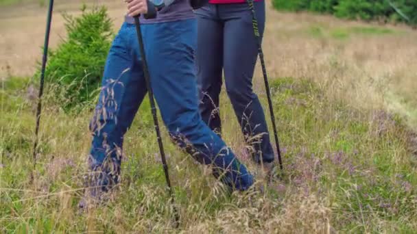 Slow Motion Beelden Van Het Onderlichaam Van Wandelaars Wandelaars Beginnen — Stockvideo