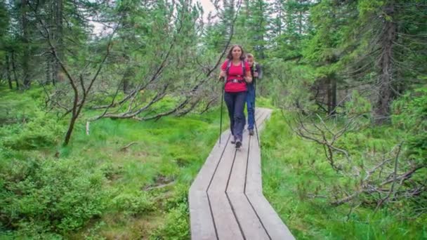 Två Unga Vandrare Med Trekking Pole Walk Längs Wooden Forest — Stockvideo