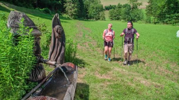 Wanderer Halten Zur Erfrischung Einem Aus Einem Baum Geschnitzten Wasserbecken — Stockvideo