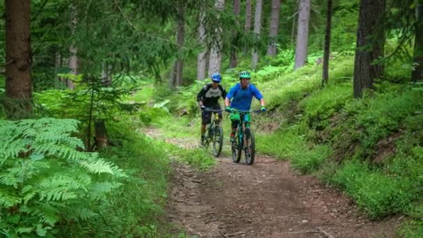 森の中を上り坂のレース 森の中の小さな未舗装の道を自転車に乗っている男 — ストック動画