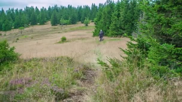 Binici Engebeli Çalı Patikalarında Dağ Bisikletlerini Sürüyorlar Güzel Orman Manzarasının — Stok video