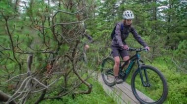 Ahşap bir patikada iki dikkatli dağ bisikleti. Yeşil doğa ormanı. Yavaş çekimde. Ribnica na Pohorju, Slovenya