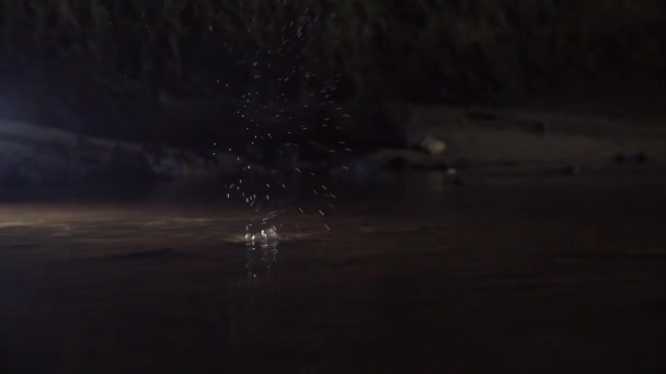Water Drop Dropping Splashing Dark Bottom Well Ground Level — Vídeos de Stock