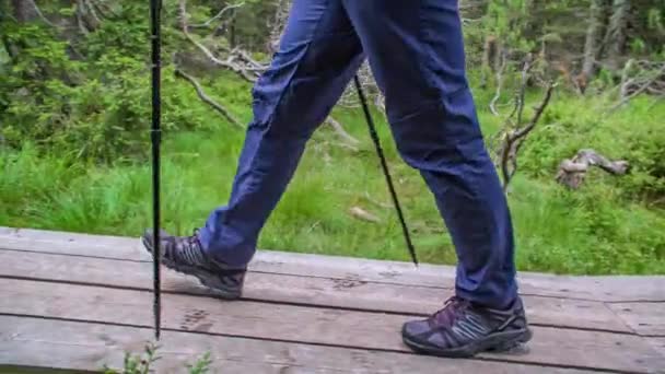 Doğada Ahşap Bir Yolda Yürüyen Bir Çift Ayağı Takip Etmek — Stok video